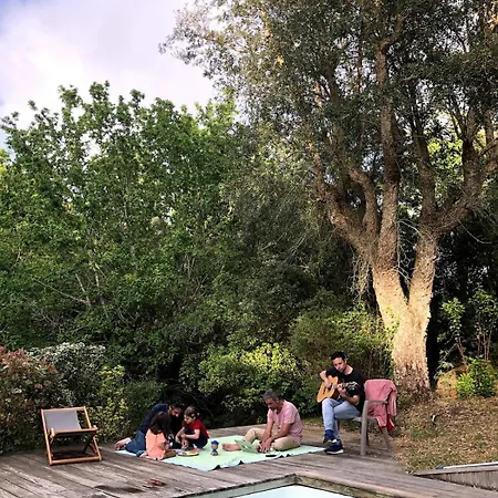 Big House In Seignosse, Pool, Get To On Foot
